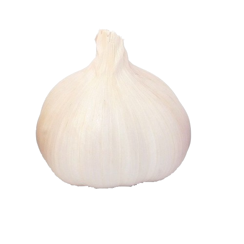 Indian Garlic