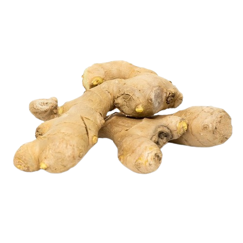Ginger
