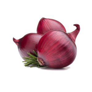 Onion