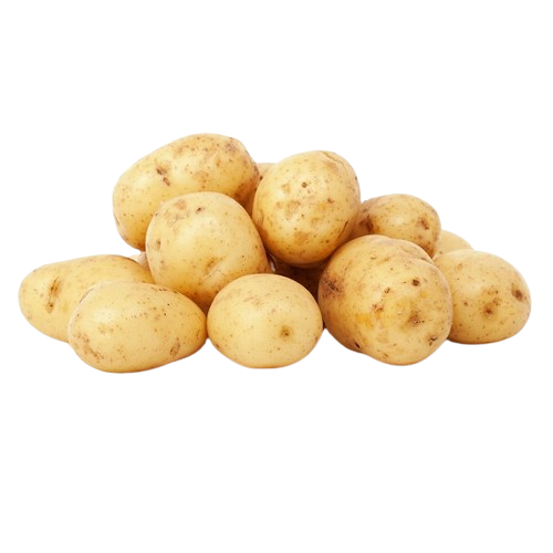 Best Quality Potato